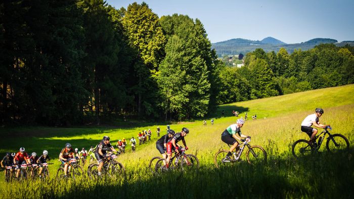 Malevil Cup has opened registration